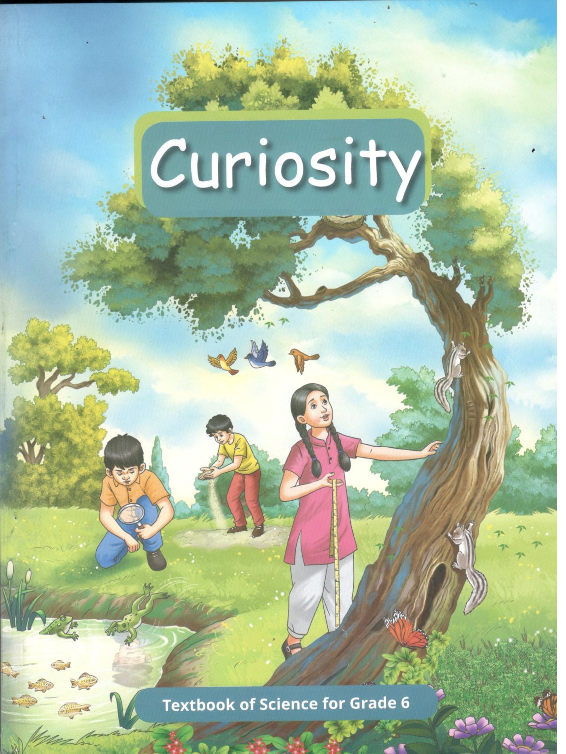 Curiosity 6 - NCERT