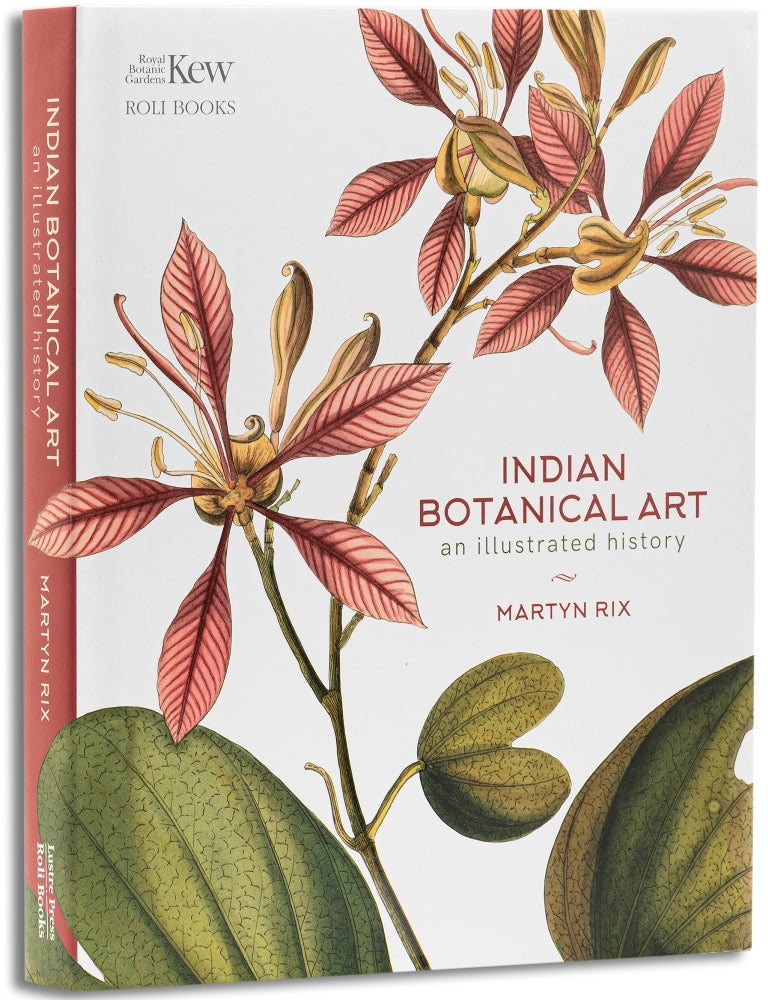 Indian Botanical Art : An Illustrated History
