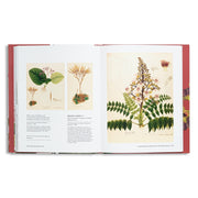 Indian Botanical Art : An Illustrated History