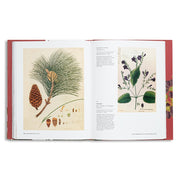 Indian Botanical Art : An Illustrated History
