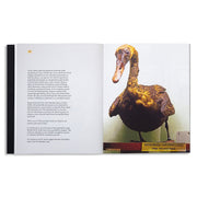 The Bird, A Bone, and Other Witnesses of a Museum Fire