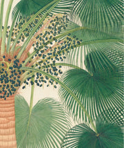 Flora Indica