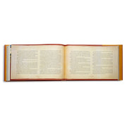 The Mewar Ramayana