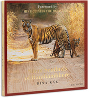 Silent Sentinels Of Ranthambhore