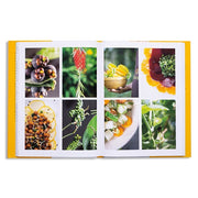 The Ayurvedic Wellness Cookbook Recipes For Balance & Rejuvenation