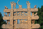 Elephant Kingdom