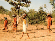 Gifts of Earth