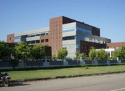 Resurgent Modernism