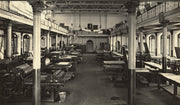 The Waterhouse Albums