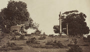 The Waterhouse Albums