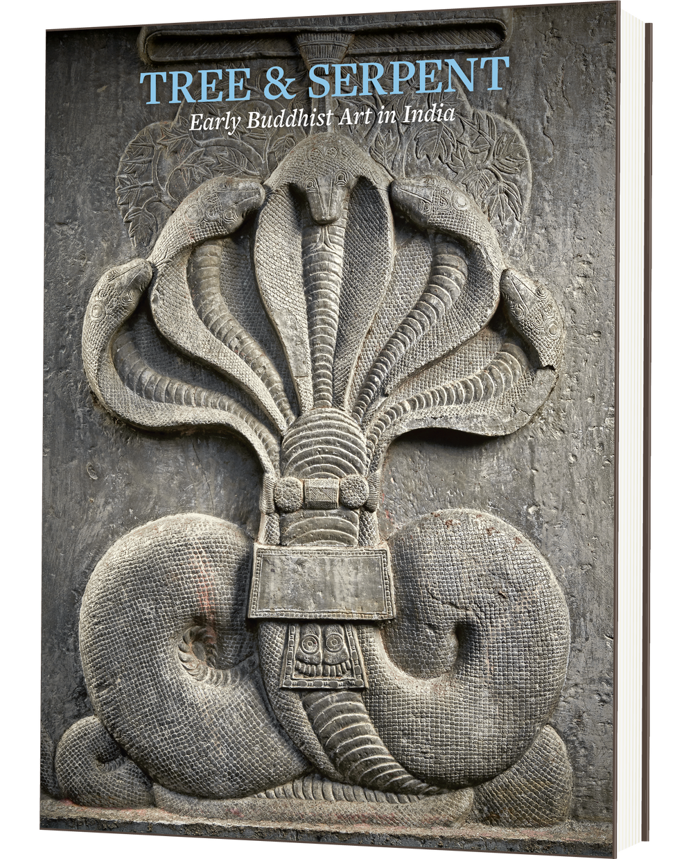 Tree & Serpent