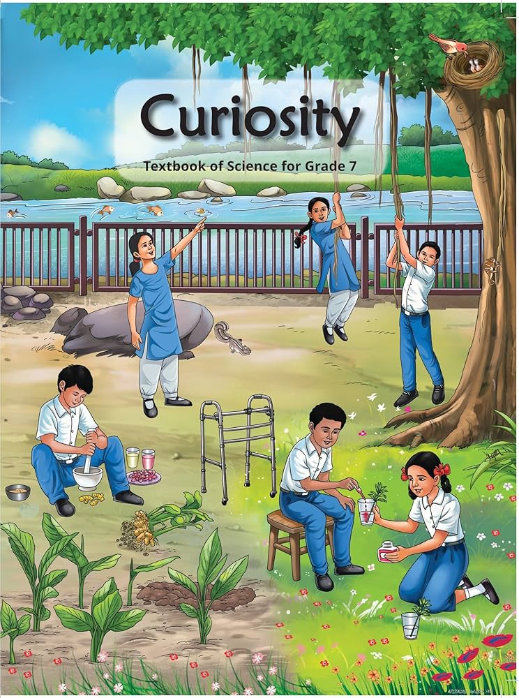 Curiosity 7 - NCERT